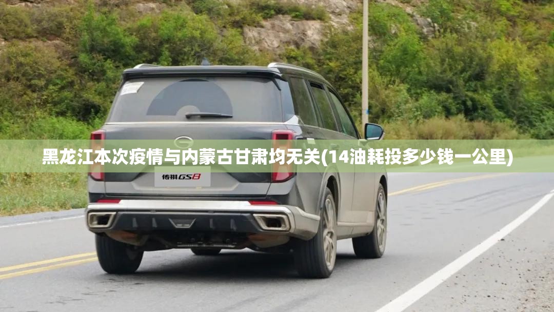 黑龙江本次疫情与内蒙古甘肃均无关(14油耗投多少钱一公里)