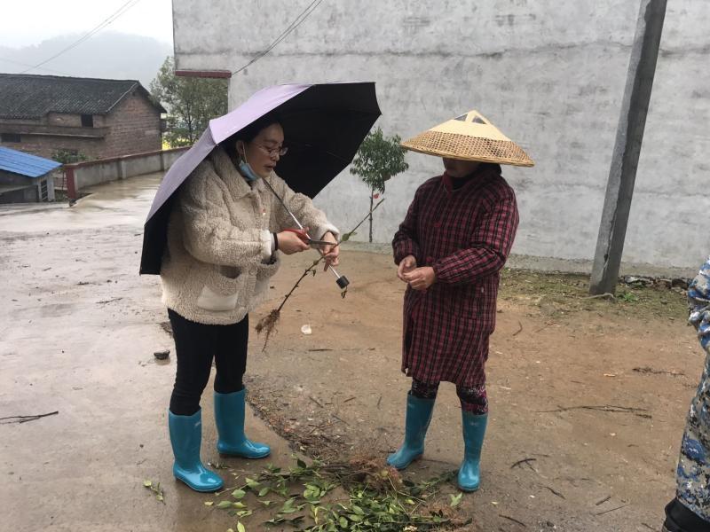 湖南新增本土确诊病例2例/湖南新冠疫情最新数据