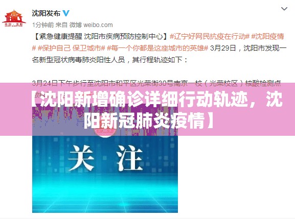 【沈阳新增确诊详细行动轨迹，沈阳新冠肺炎疫情】