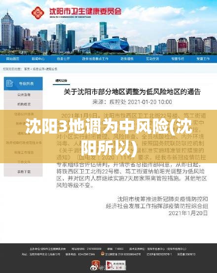 沈阳3地调为中风险(沈阳所以)