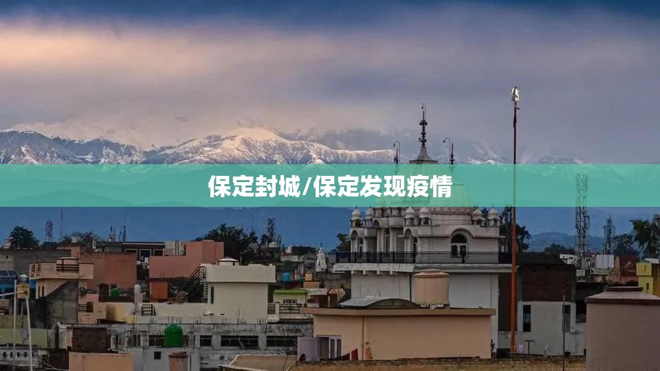 保定封城/保定发现疫情 保定封城/保定发现疫情