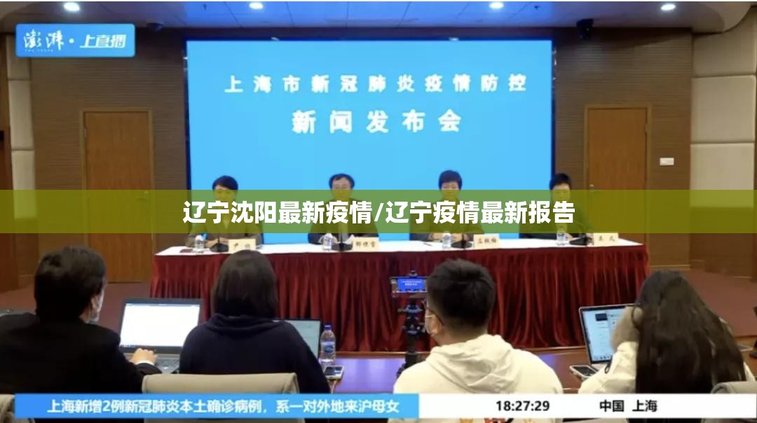 辽宁沈阳最新疫情/辽宁疫情最新报告