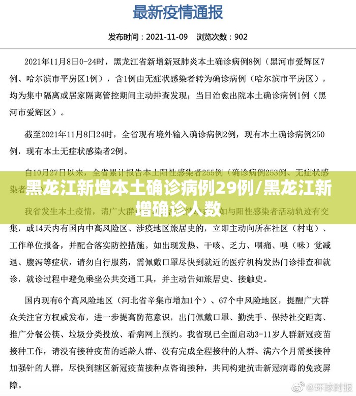 黑龙江新增本土确诊病例29例/黑龙江新增确诊人数