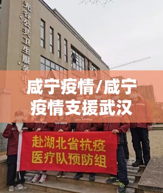 咸宁疫情/咸宁疫情支援武汉疾控中心鲁春艳