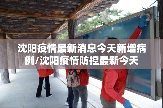 沈阳疫情最新消息今天新增病例/沈阳疫情防控最新今天