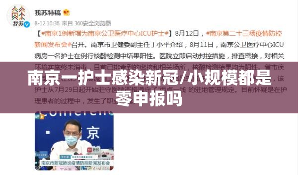 南京一护士感染新冠/小规模都是零申报吗