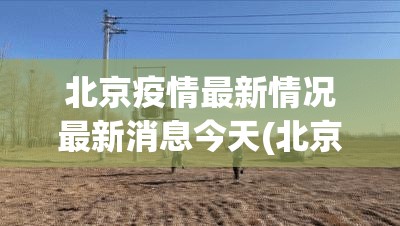 北京疫情最新情况最新消息今天(北京疫情状况)