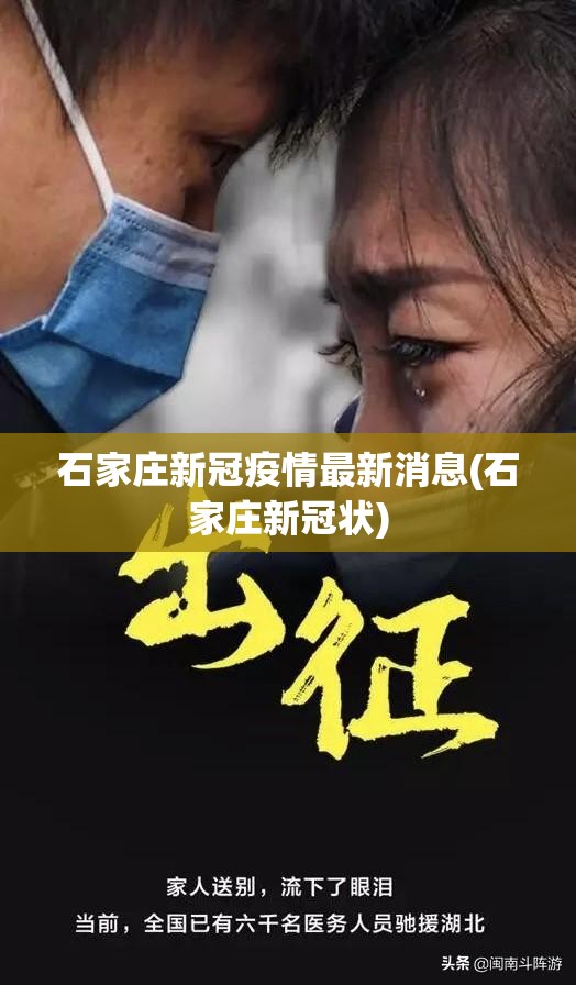 石家庄新冠疫情最新消息(石家庄新冠状)