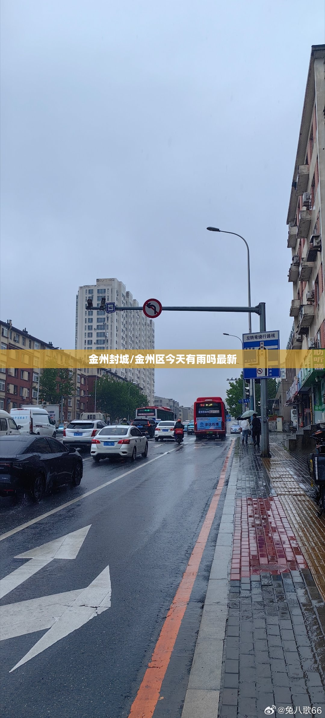 金州封城/金州区今天有雨吗最新