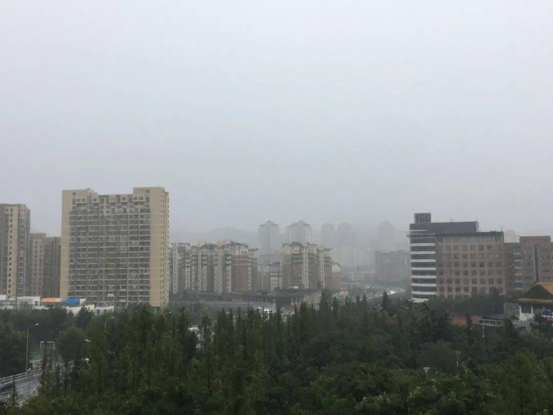 金州封城/金州区今天有雨吗最新