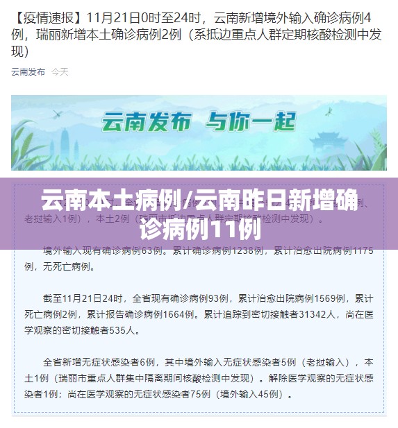 云南本土病例/云南昨日新增确诊病例11例