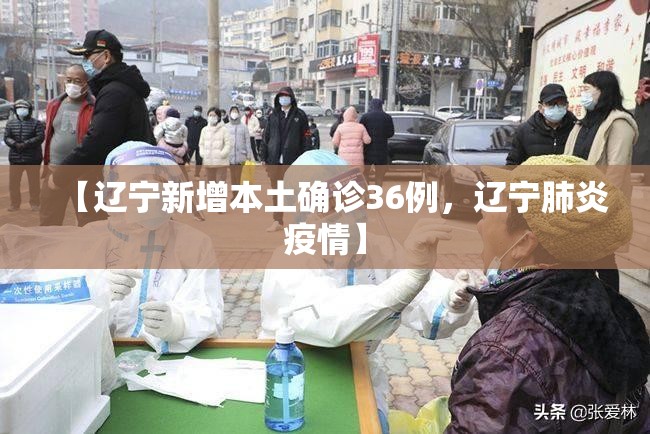 【辽宁新增本土确诊36例，辽宁肺炎疫情】