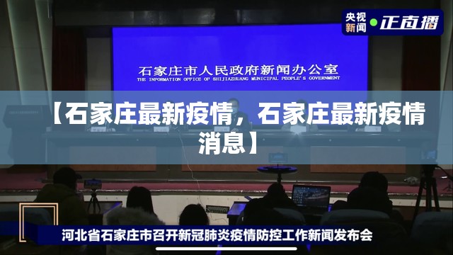 【石家庄最新疫情，石家庄最新疫情消息】
