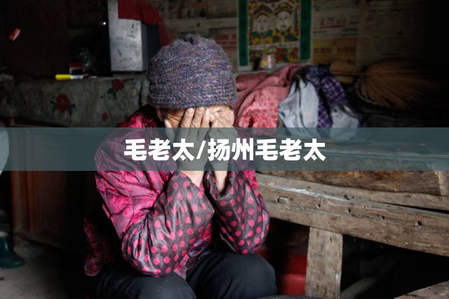 毛老太/扬州毛老太