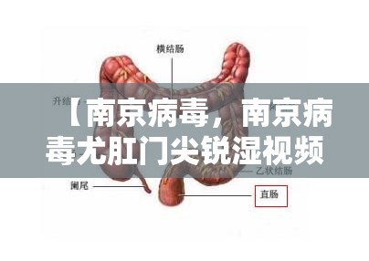 【南京病毒，南京病毒尤肛门尖锐湿视频】
