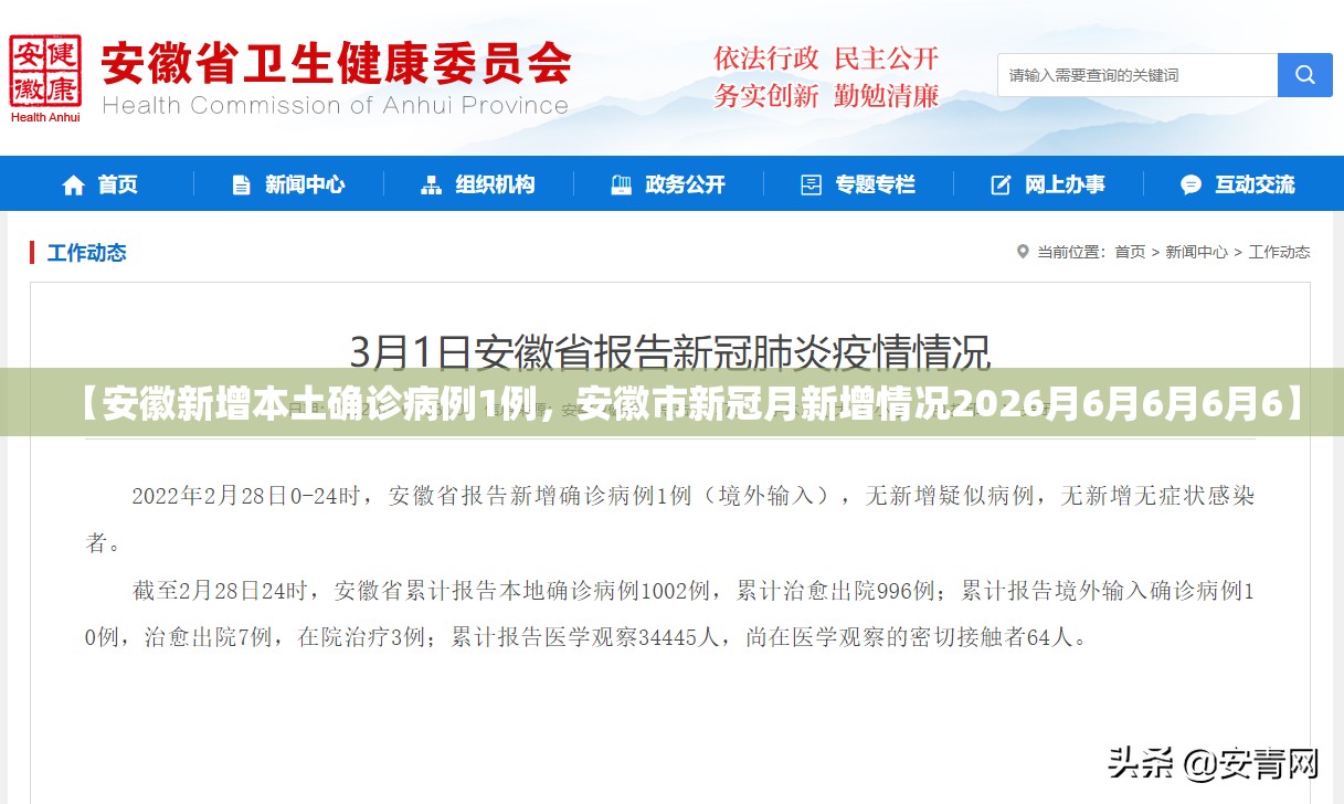 【安徽新增本土确诊病例1例，安徽市新冠月新增情况2026月6月6月6月6】