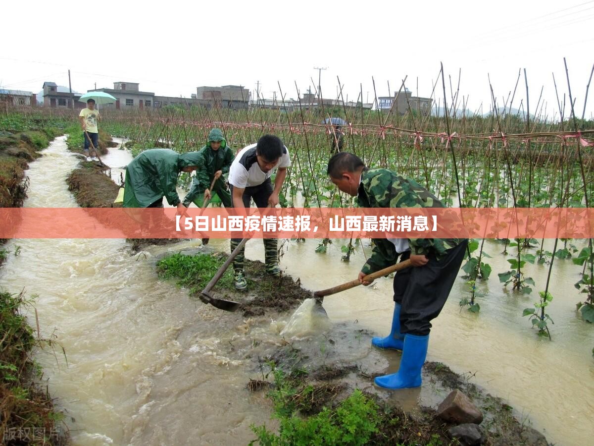 【5日山西疫情速报，山西最新消息】