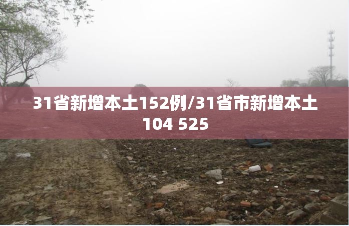 31省新增本土152例/31省市新增本土104 525