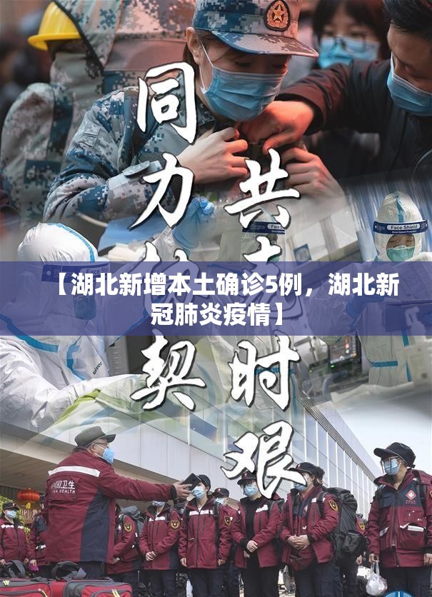【湖北新增本土确诊5例，湖北新冠肺炎疫情】
