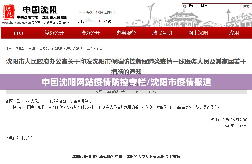 中国沈阳网站疫情防控专栏/沈阳市疫情报道