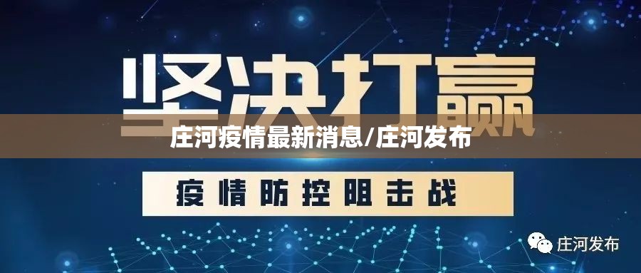 庄河疫情最新消息/庄河发布