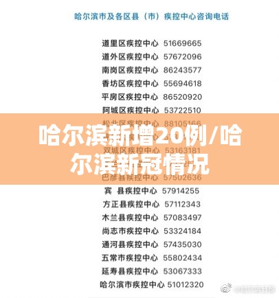哈尔滨新增20例/哈尔滨新冠情况