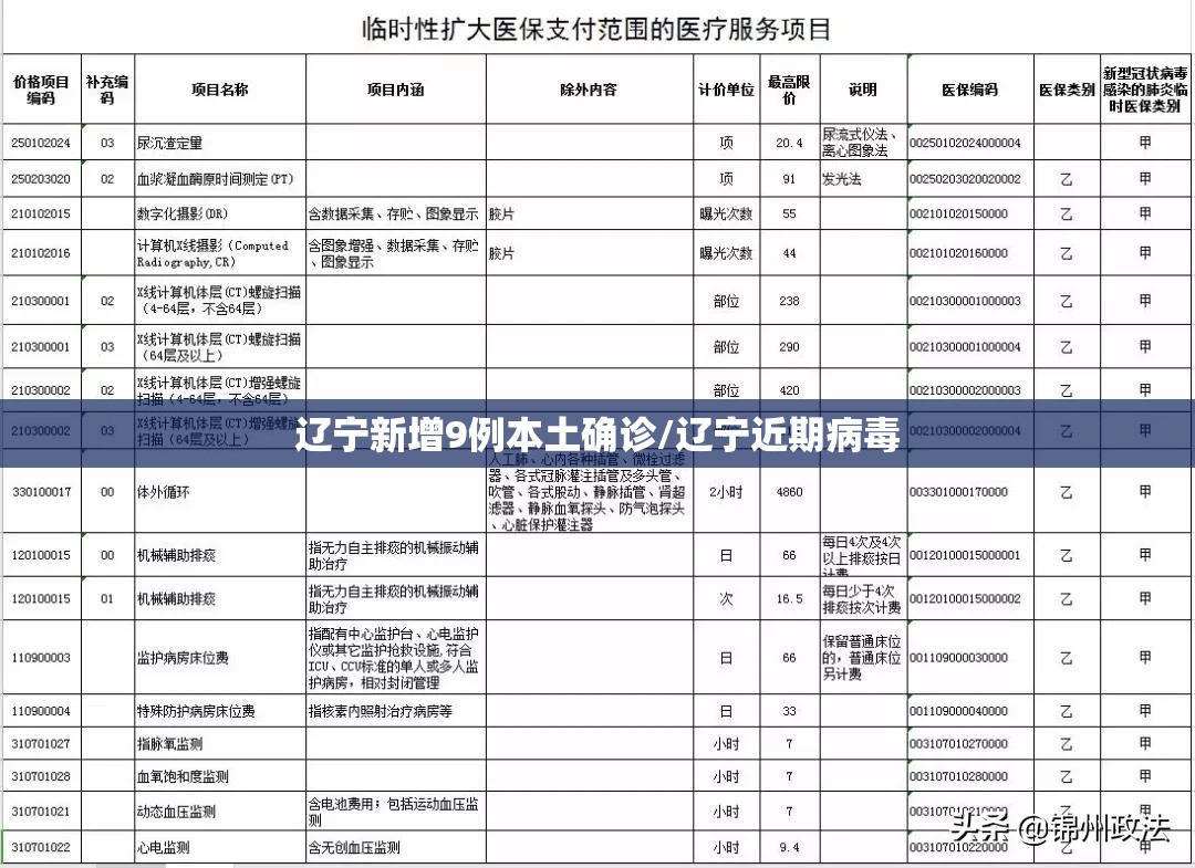 辽宁新增9例本土确诊/辽宁近期病毒