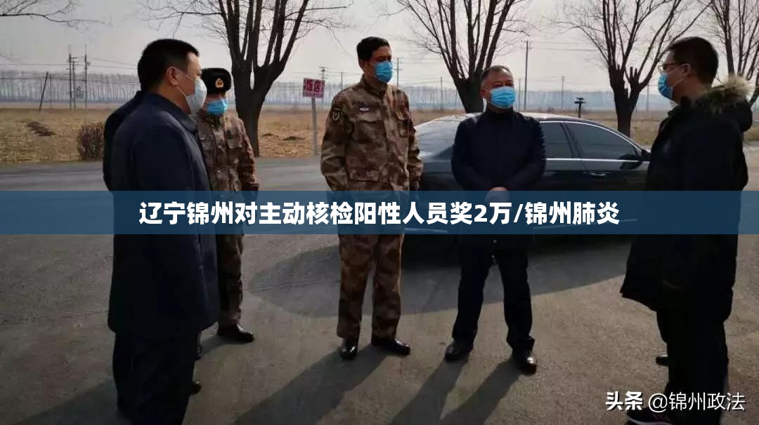 辽宁锦州对主动核检阳性人员奖2万/锦州肺炎