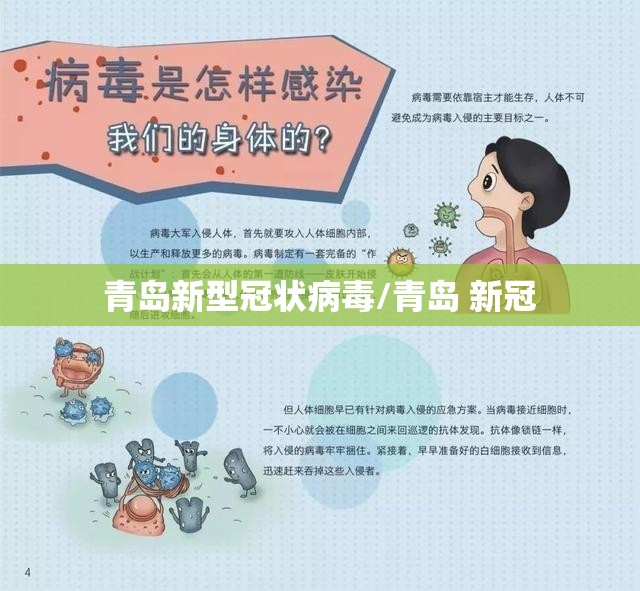 青岛新型冠状病毒/青岛 新冠