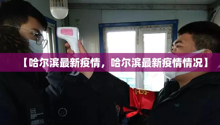【哈尔滨最新疫情，哈尔滨最新疫情情况】