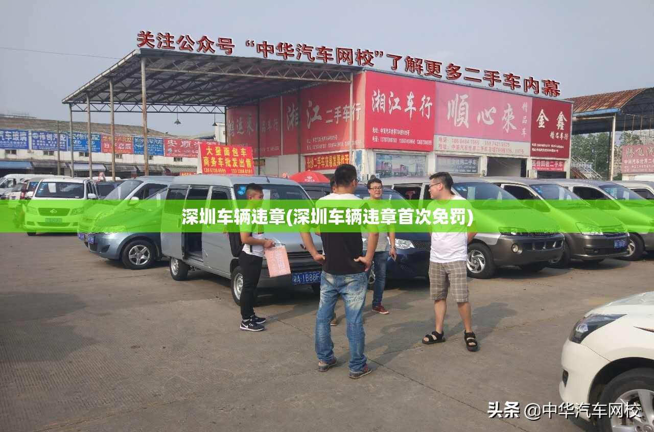 深圳车辆违章(深圳车辆违章首次免罚)