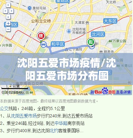 沈阳五爱市场疫情/沈阳五爱市场分布图