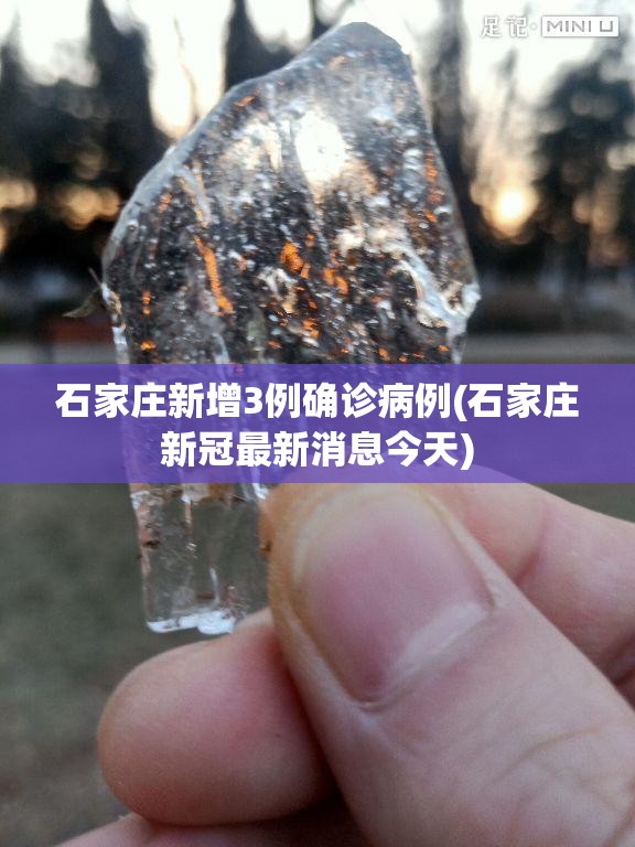 石家庄新增3例确诊病例(石家庄新冠最新消息今天)