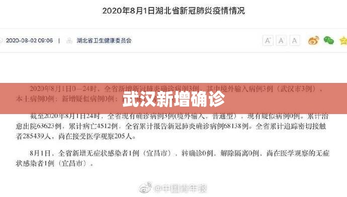武汉新增确诊