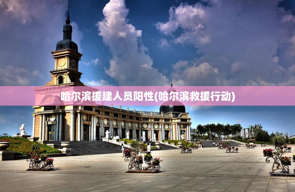 哈尔滨援建人员阳性(哈尔滨救援行动)