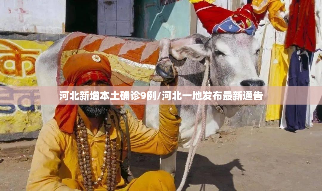 河北新增本土确诊9例/河北一地发布最新通告