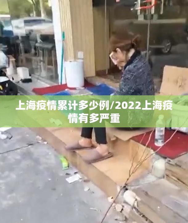 上海疫情累计多少例/2022上海疫情有多严重