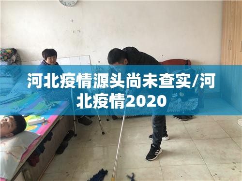 河北疫情源头尚未查实/河北疫情2020