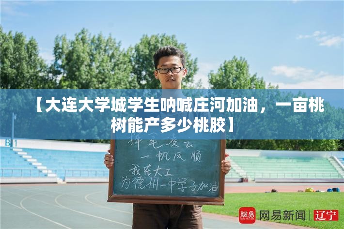 【大连大学城学生呐喊庄河加油，一亩桃树能产多少桃胶】
