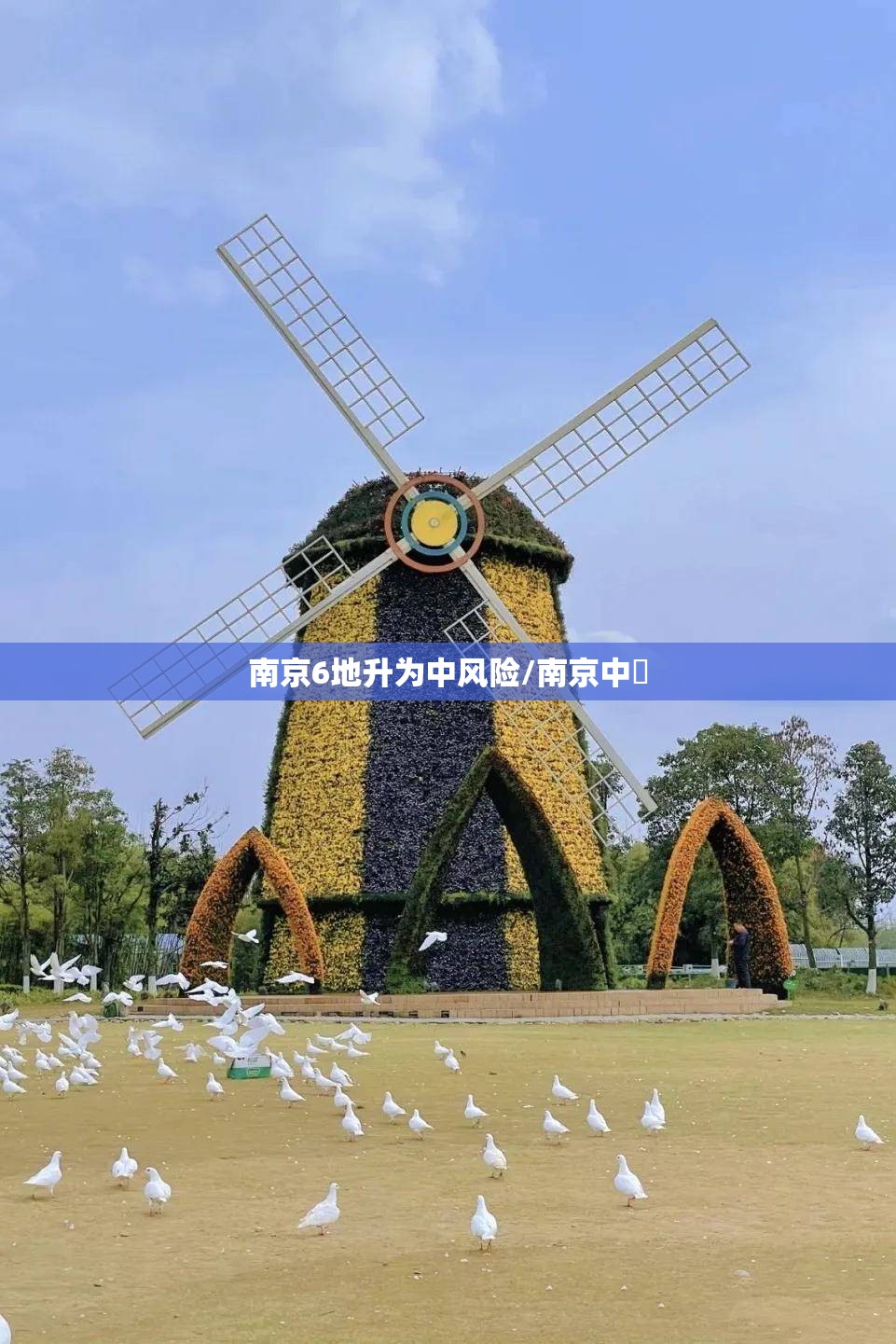 南京6地升为中风险/南京中曌