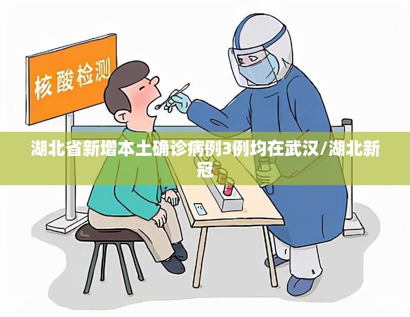 湖北省新增本土确诊病例3例均在武汉/湖北新冠 湖北省新增本土确诊病例3例均在武汉/湖北新冠