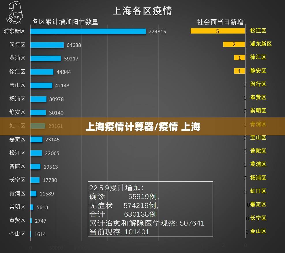 上海疫情计算器/疫情 上海