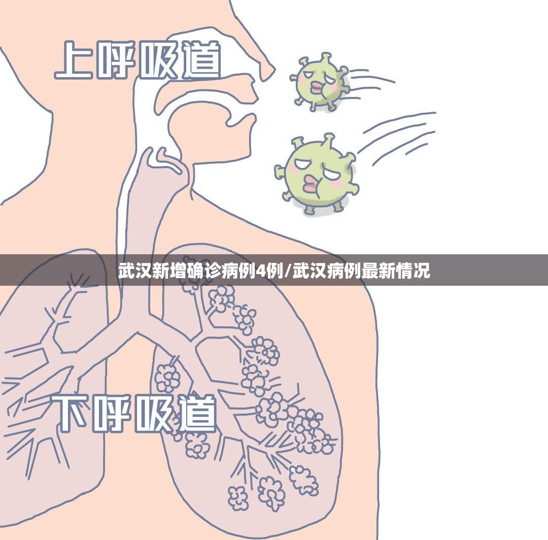武汉新增确诊病例4例/武汉病例最新情况