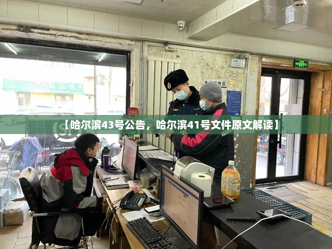【哈尔滨43号公告，哈尔滨41号文件原文解读】