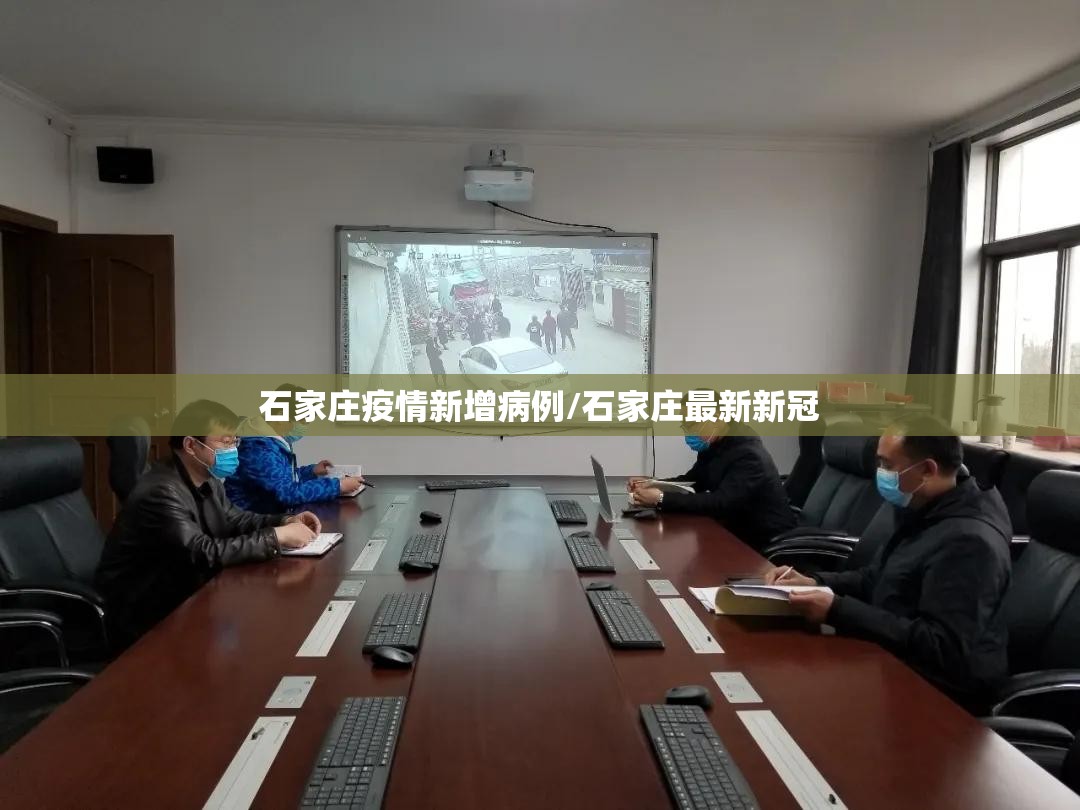 石家庄疫情新增病例/石家庄最新新冠