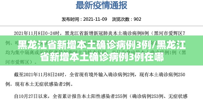 黑龙江省新增本土确诊病例3例/黑龙江省新增本土确诊病例3例在哪