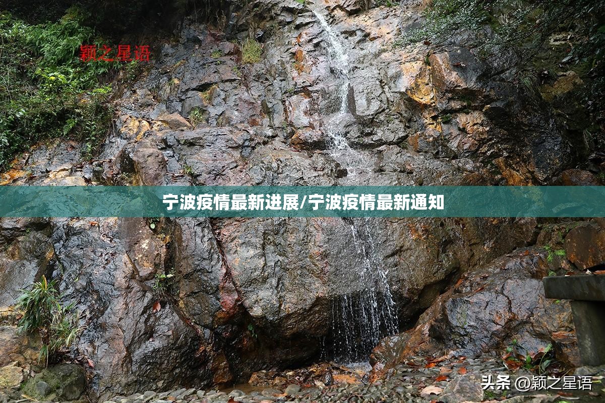 宁波疫情最新进展/宁波疫情最新通知