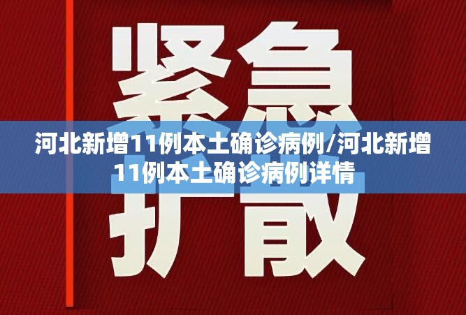 河北新增11例本土确诊病例/河北新增11例本土确诊病例详情 河北新增11例本土确诊病例/河北新增11例本土确诊病例详情