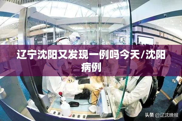 辽宁沈阳又发现一例吗今天/沈阳病例