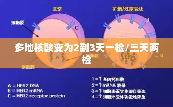 多地核酸变为2到3天一检/三天两检